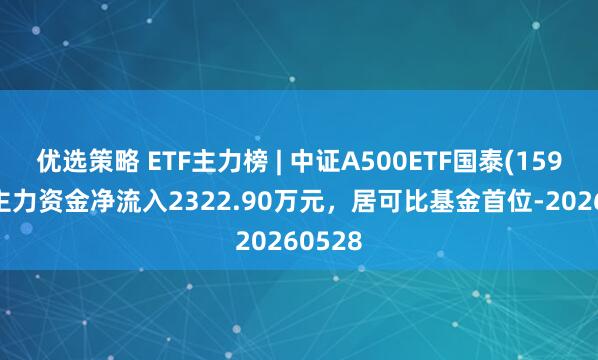 优选策略 ETF主力榜 | 中证A500ETF国泰(159338)主力资金净流入2322.90万元，居可比基金首位-20260528