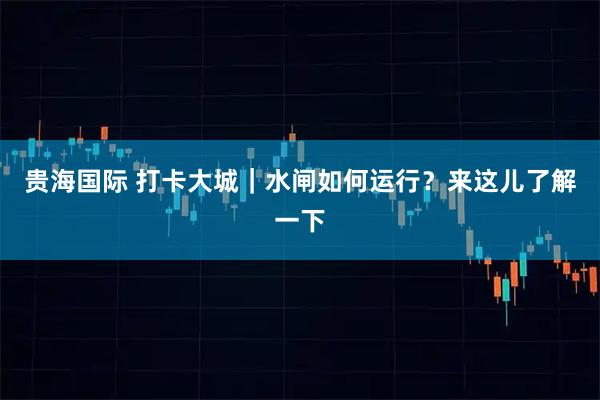 贵海国际 打卡大城｜水闸如何运行？来这儿了解一下