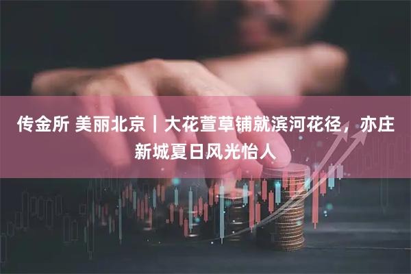 传金所 美丽北京｜大花萱草铺就滨河花径，亦庄新城夏日风光怡人