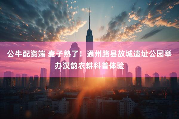 公牛配资端 麦子熟了！通州路县故城遗址公园举办汉韵农耕科普体验